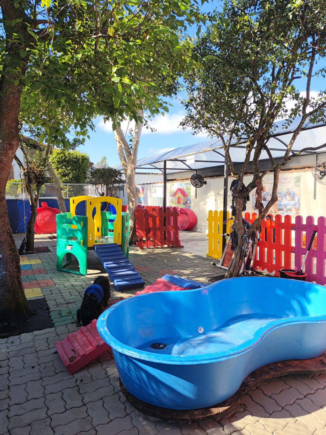 Piscina azul embaixo da árvore frutífera