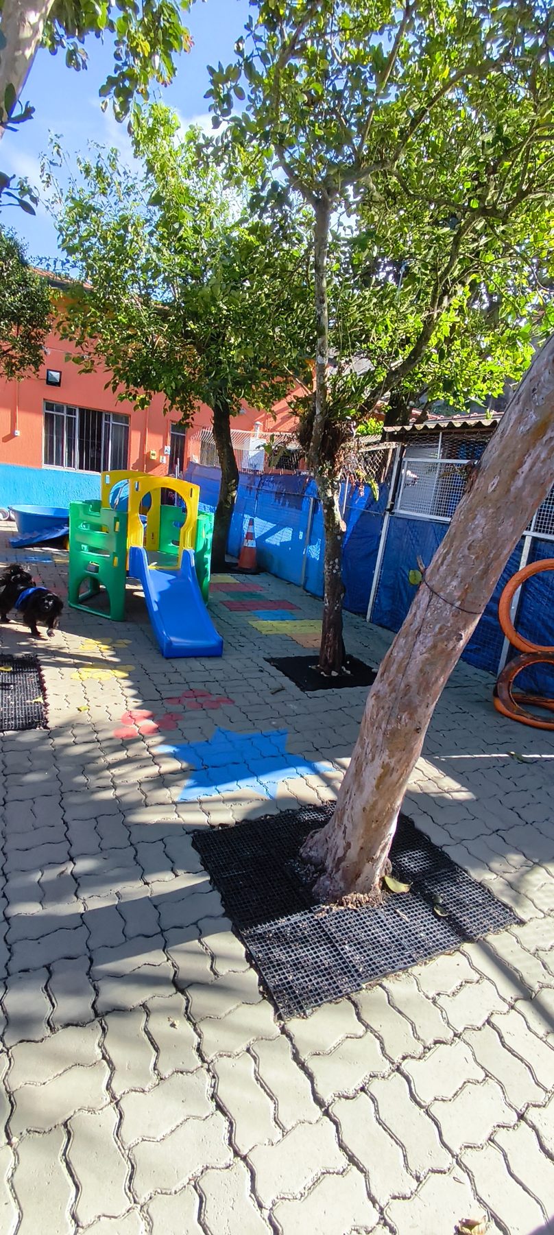 Cachorro correndo no playground do quintal
